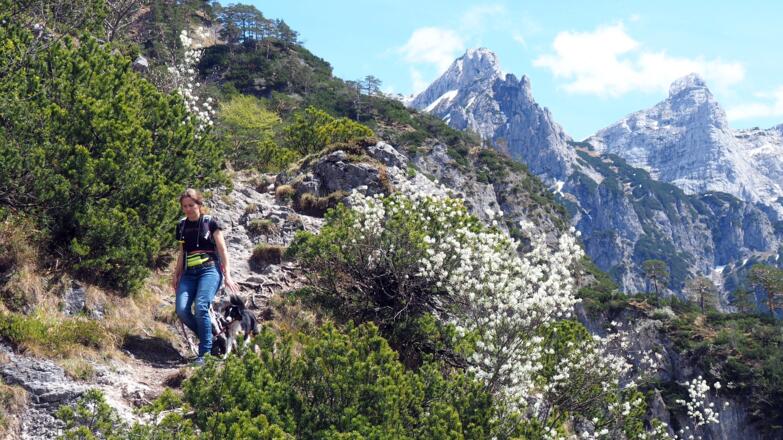 Kurz vor dem Aussichtspunkt (910 m)