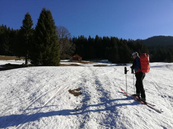 Nach dem Parkplatz über die grosse Lichtung in den Wald