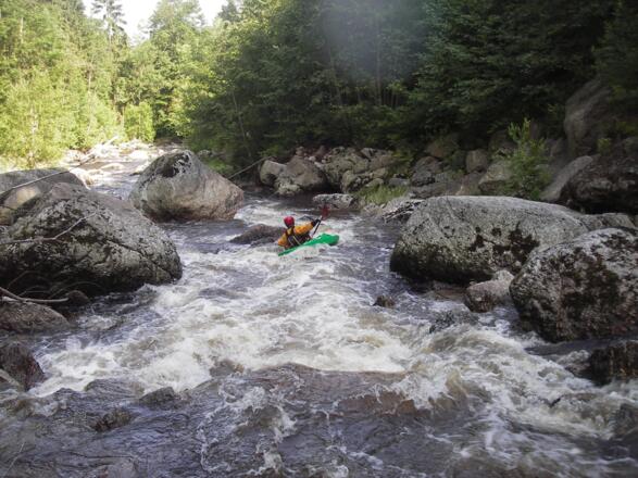 heute werden keine Scheiter, sondern nur mehr ab und zu Paddler die Naarn "hinuntergeschwemmt"