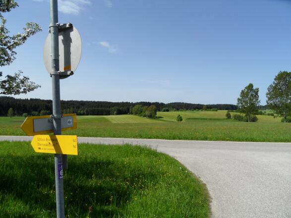 Zurück von der Waldschenke folgen wir dem Weg Nr. 142.