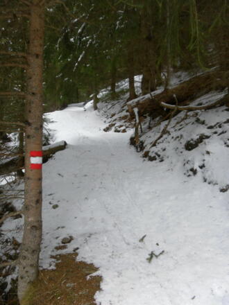 Hohlweg