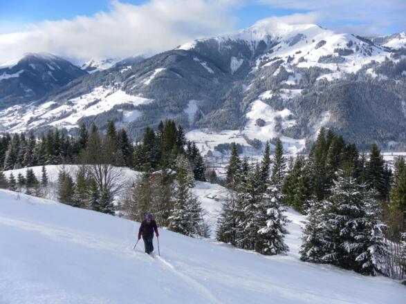 Waldschneisen