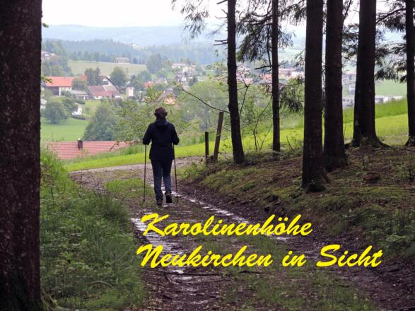 Der Blick auf Neukirchen ist frei.