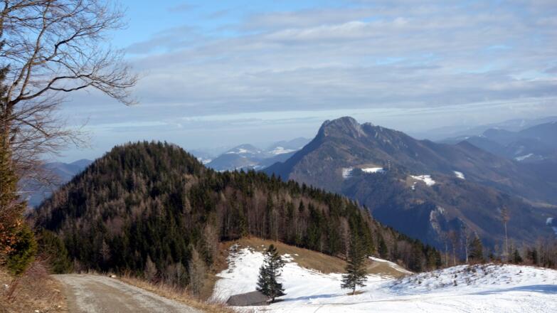 Schwarzkogel 1075m mit Schieferstein