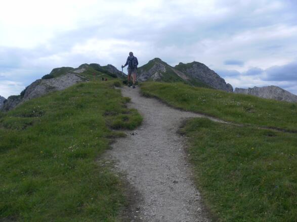 Nordrücken der Seefelder Spitze