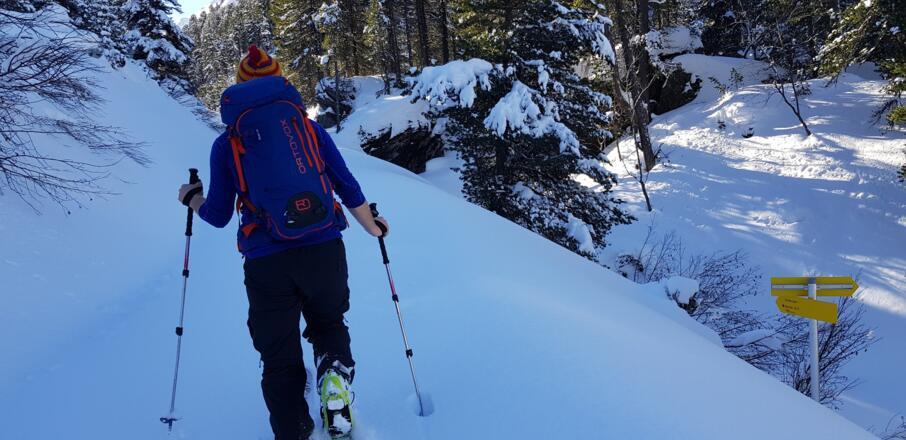 Bald ist das freie Gelände erreicht