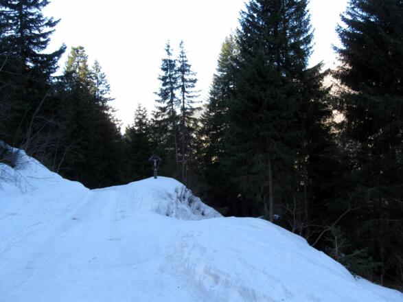 Über diesen Hohlweg (rechts) kommt man herauf. Links kommt die Forststraße herauf.
