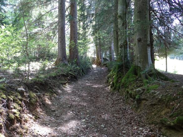 Nun geht&#039;s steil bergab...