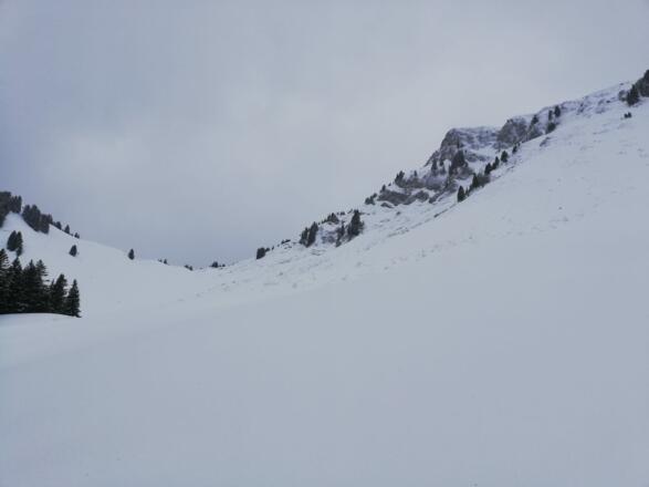 Blick Richtung Südwest von der Lechaschauer Alm zum Tiefjoch