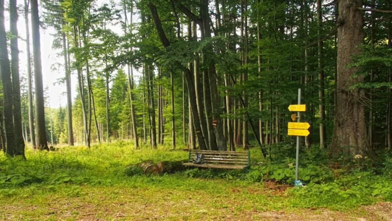 In den Mösern: von hier geht's hinunter Richtung Bodinggraben