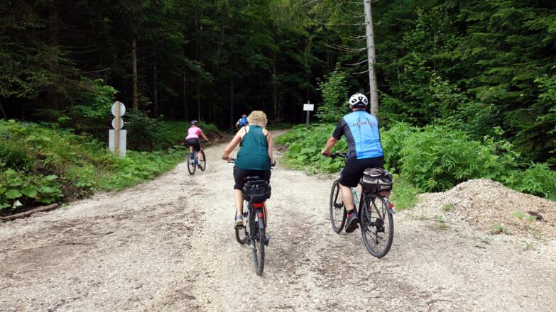 Weggabelung 735m, die letzten m der Schotterstraße