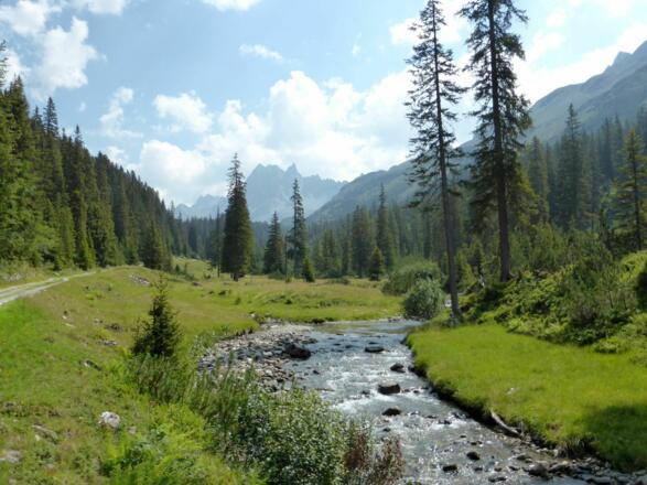 Hinteres Silbertal im Europaschutzgebiet Verwall