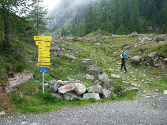 Wenige Meter vor der Tiefentalalm, zweigen wir bei den vielen Wegschildern in Richtung Wallfahrtsjöchl ab.