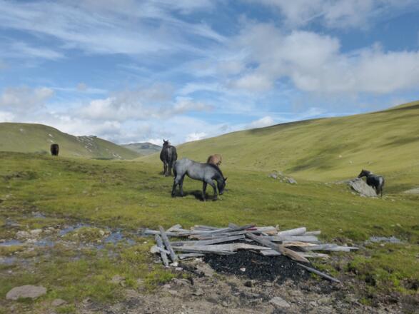"Irgendwo in den weiten der Nockberge"