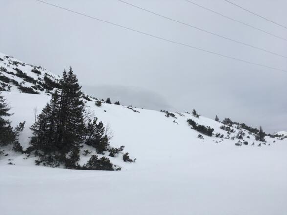 Blick zurück zur Einfahrt.