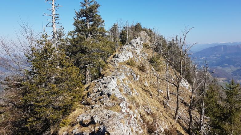 Am Grat zum eigentlichen Schieferstein