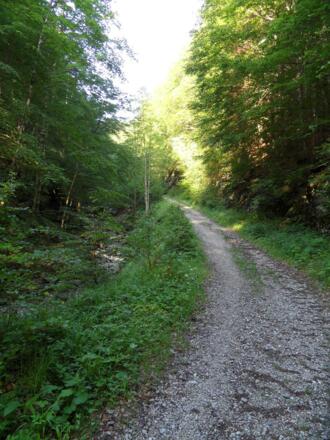 Schotterstraße zur Steyrerhütte