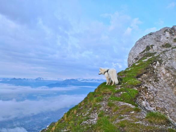 Steig Richtung Gipfel mit Blick ins Inntal
