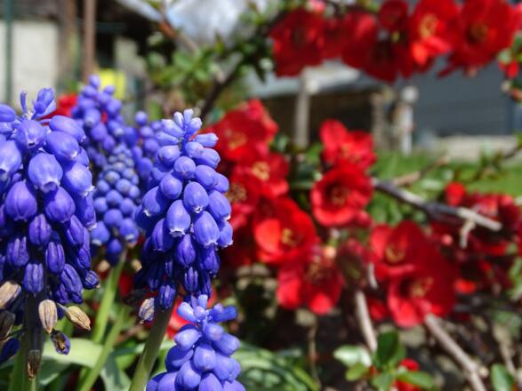 Frühling!