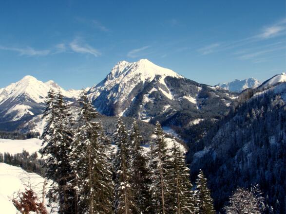 Abfahrt Forststraße um 1250m, Pyhrgas- und Bosruckblick.