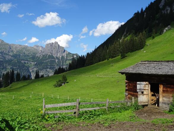 Alpe Latons mit Blick auf den Roggelskopf