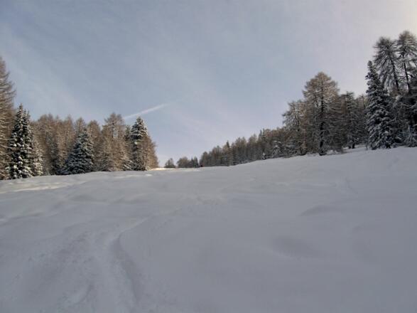 Bald erreicht man eine weitläufige Waldschneise. Über diese geht es aufwärts.