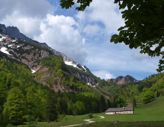 Blumaueralm