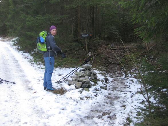 Abzweigung zum Steineck (nach dem Jh Schrattenau)