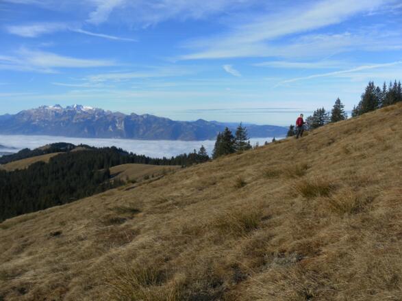 Südweiden mit Rheintalblick