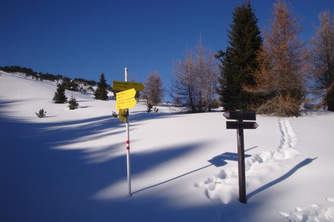 schon bald im Ausland?