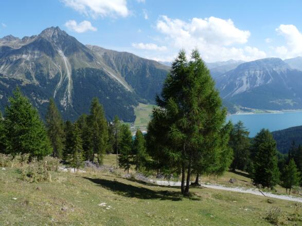 Schöne Ausblicke genießt man von der Reschner Alm hinunter zum Reschensee.