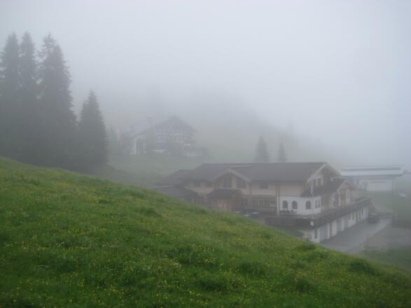 Loferer Alm (2. Juni 2011)