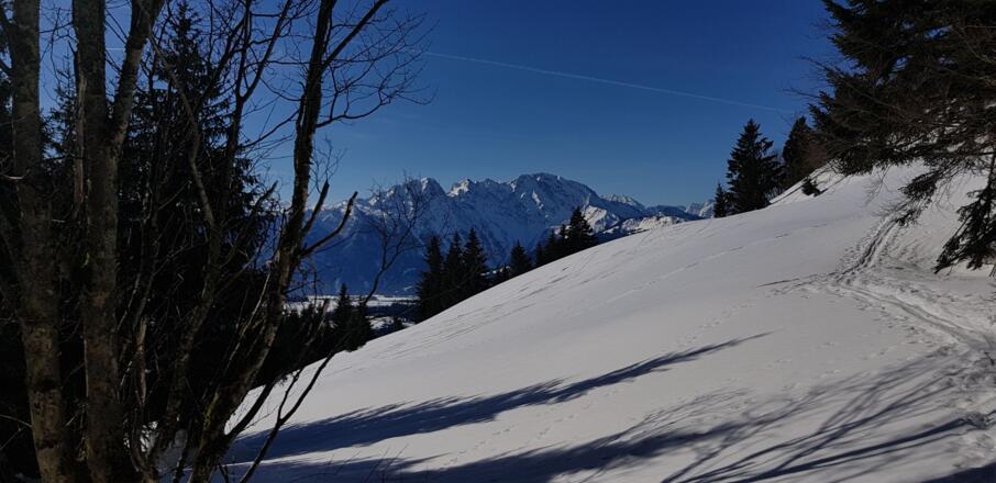 Am Weg zur Schlenksteinalm