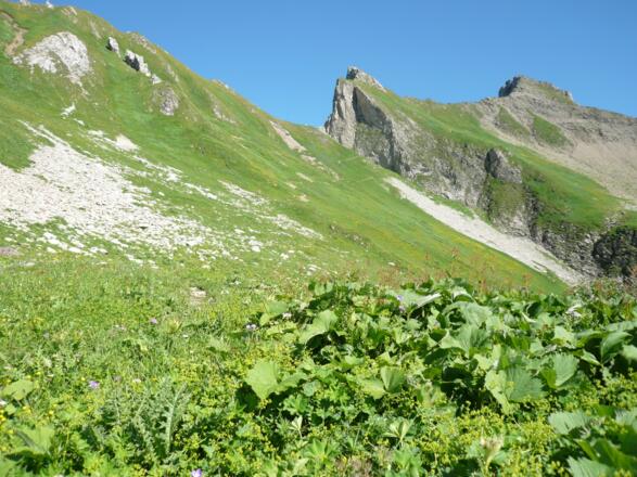 Von der Mutte zum Falmedonjoch