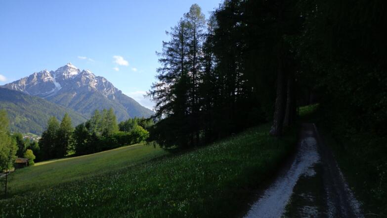 Die Serles.