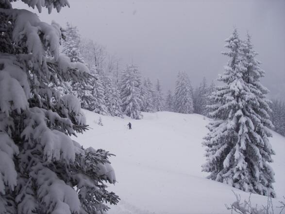 Knapp unterm Gipfel bei viel Schnee