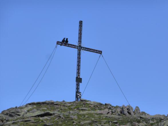 Gipfelkreuz Lampsenspitze