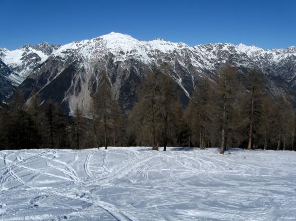 Unterhalb der Meranzalpe.