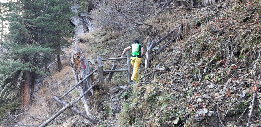 Noch einmal geht's kurz bergauf, bevor der Steig in die Fortstraße zur Mauchele Alm einmündet.