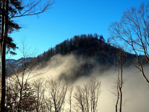 Jägereck von der Forststraße 930m gesehen.