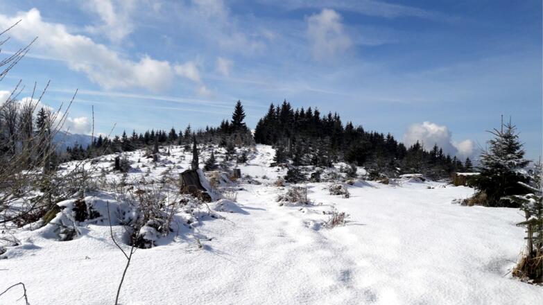 Flacher Rücken von der Kapelle zum Gipfel 1.036m