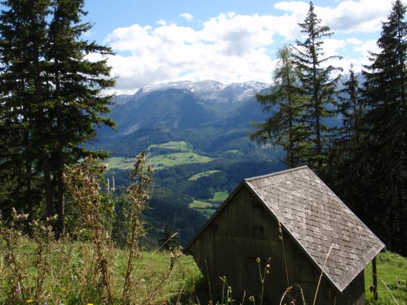 Abstieg mit Blick zum Schrockenmassiv