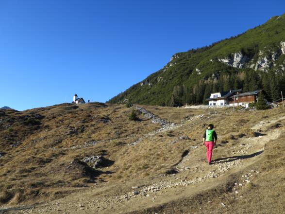 Die Astenau Alm liegt knapp oberhalb der Baumgrenze - tolle Aussicht, Speis und Trank!
