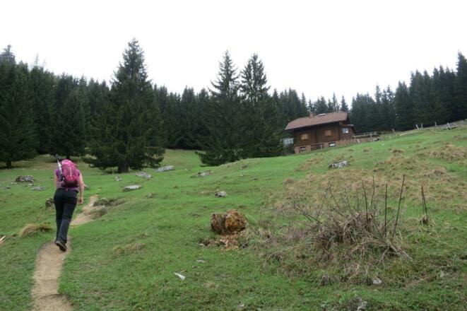 Vorbei an der Spitzelsteinalm