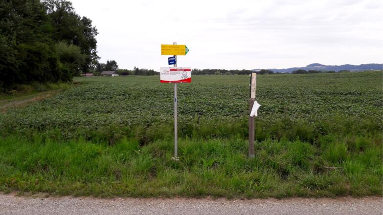 Schotterstraße nach Billa rechts