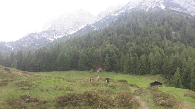 Almberg Alm