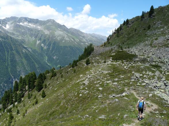 Ein schön angelegter Steig führt uns genussreich, mit Blick auf die umliegende Bergwelt, zur Ob. Wandalm.