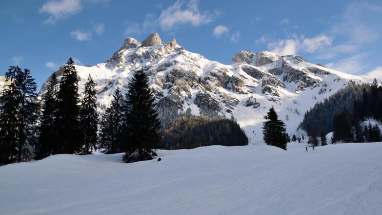Vor der Kulisse des Tennengebirges