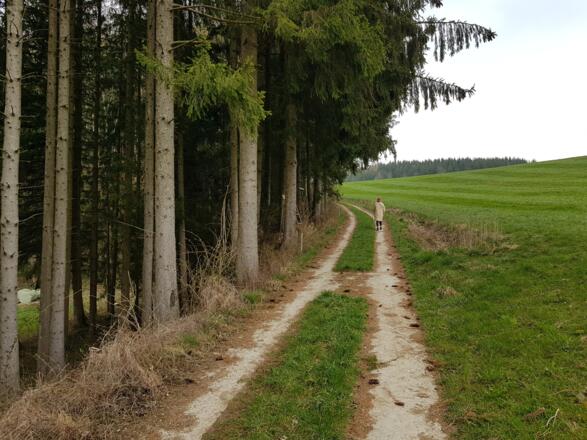Am Weg nach Oberthumberg