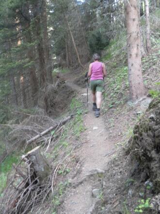 Waldpfad